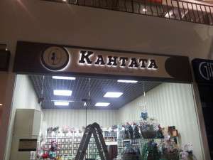 Кантата, ТРК Фокус