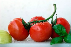 fotooboi edainapitki (13)