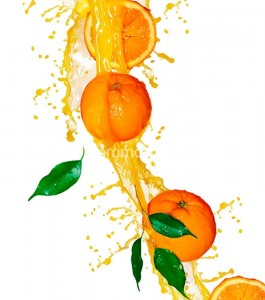 fotooboi edainapitki (2)