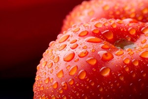 fotooboi edainapitki (20)