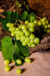 fotooboi edainapitki (34)