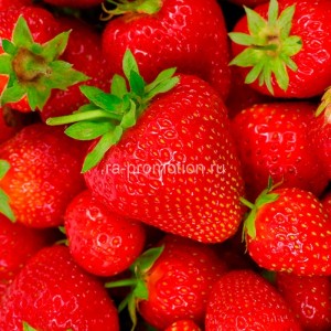 fotooboi edainapitki (38)