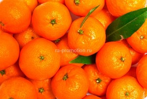 fotooboi edainapitki (4)