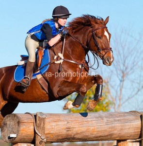 fotooboi givotnie (25)