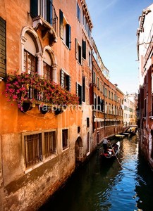 fotooboi goroda (104)