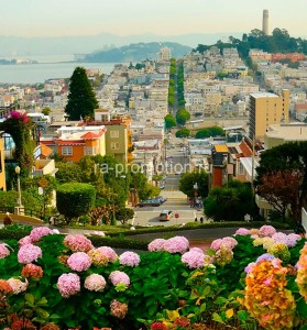 fotooboi goroda (301)