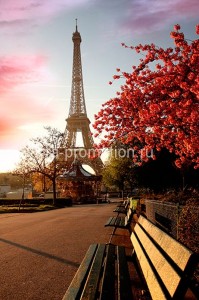 fotooboi goroda (32)