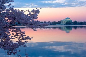 fotooboi goroda (334)