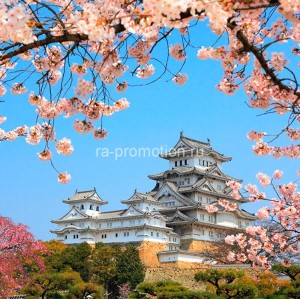 fotooboi goroda (35)