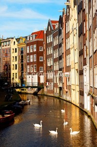 fotooboi goroda (67)