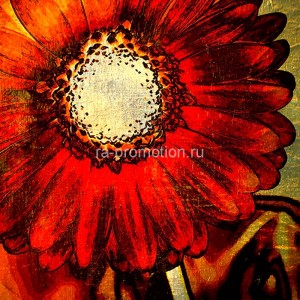 fotooboi iskusstvo (109)