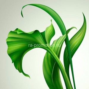 fotooboi iskusstvo (52)