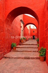 fotoboi perspektiva (15)