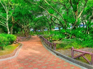 fotoboi perspektiva (22)