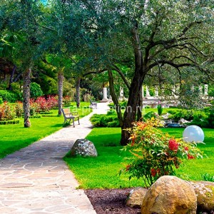 fotoboi perspektiva (36)