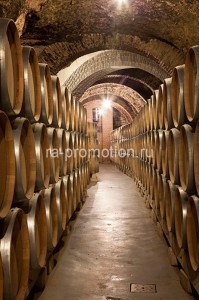 fotoboi perspektiva (53)