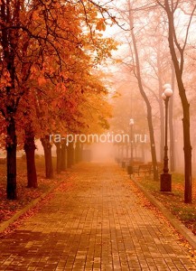 fotoboi perspektiva (57)