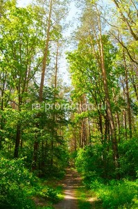 fotoboi perspektiva (6)