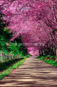 fotoboi perspektiva (62)