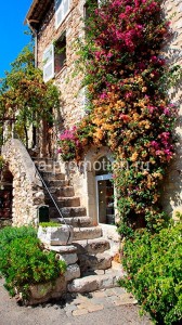 fotoboi perspektiva (64)