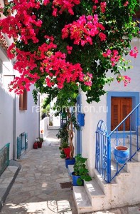 fotoboi perspektiva (65)