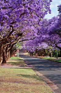 fotoboi perspektiva (66)