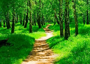 fotoboi perspektiva (7)