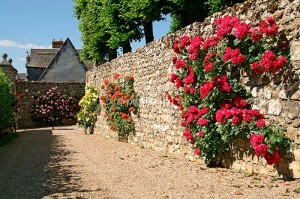 fotoboi perspektiva (70)