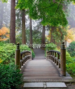 fotoboi perspektiva (71)