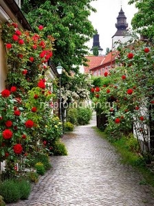 fotoboi perspektiva (76)