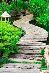 fotoboi perspektiva (77)