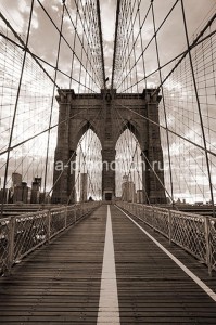 fotoboi perspektiva (78)