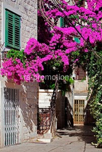 fotoboi perspektiva (79)