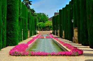 fotoboi perspektiva (82)