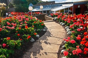 fotoboi perspektiva (84)