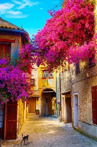 fotoboi perspektiva (90)