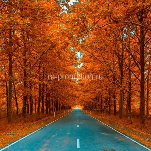 fotoboi perspektiva (92)