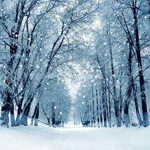 fotoboi perspektiva (93)