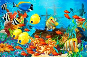 fotooboi podvodniy mir (23)