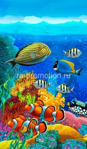 fotooboi podvodniy mir (24)