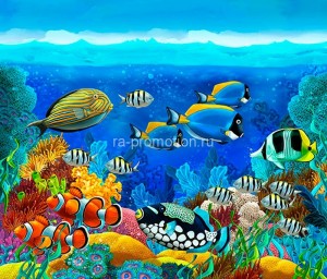 fotooboi podvodniy mir (25)