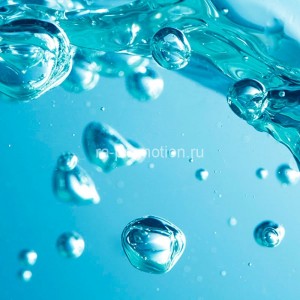 fotooboi podvodniy mir (28)