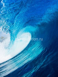 fotooboi podvodniy mir (30)