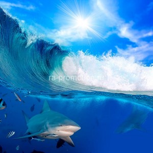 fotooboi podvodniy mir (32)