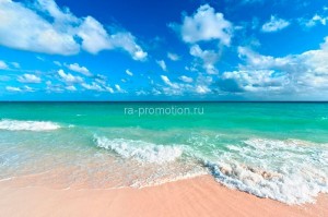 fotooboi podvodniy mir (34)