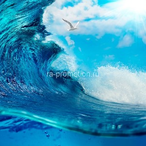 fotooboi podvodniy mir (38)