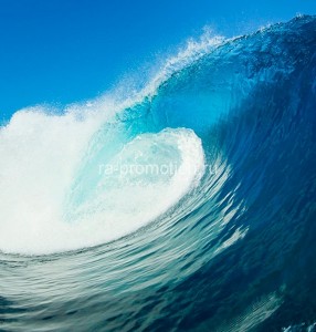 fotooboi podvodniy mir (46)