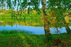 fotooboi priroda (1)