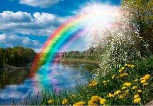 fotooboi priroda (10)