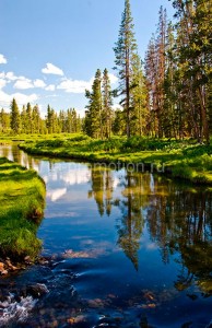 fotooboi priroda (105)